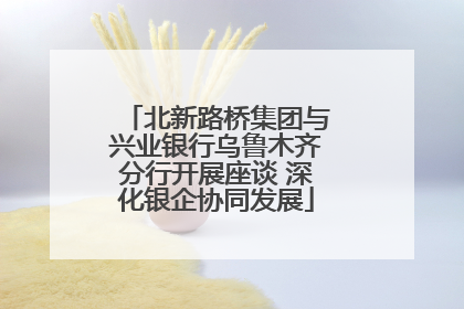 北新路桥集团与兴业银行乌鲁木齐分行开展座谈 深化银企协同发展