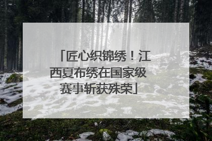 匠心织锦绣！江西夏布绣在国家级赛事斩获殊荣