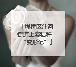 埇桥区汴河街道上演秸秆“变形记”