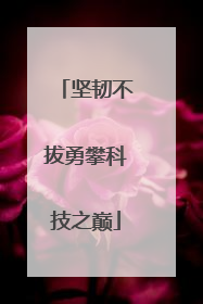 坚韧不拔勇攀科技之巅