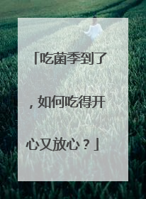吃菌季到了，如何吃得开心又放心？