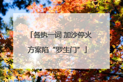 各执一词 加沙停火方案陷“罗生门”