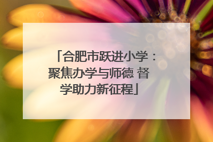 合肥市跃进小学：聚焦办学与师德 督学助力新征程