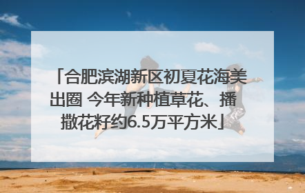 合肥滨湖新区初夏花海美出圈 今年新种植草花、播撒花籽约6.5万平方米