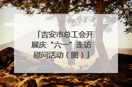 吉安市总工会开展庆“六一”走访慰问活动（图）