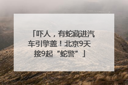 吓人，有蛇藏进汽车引擎盖！北京9天接9起“蛇警”