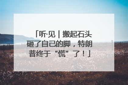 听·见｜搬起石头砸了自己的脚，特朗普终于“慌”了！