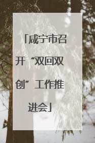 咸宁市召开“双回双创”工作推进会