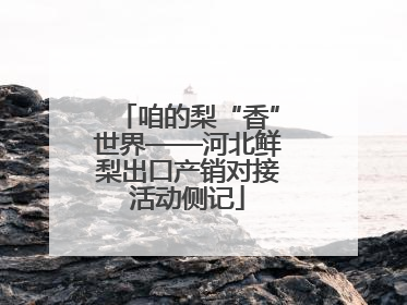 咱的梨“香”世界——河北鲜梨出口产销对接活动侧记