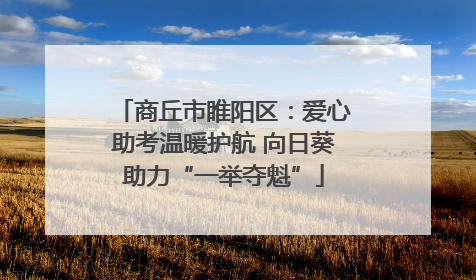 商丘市睢阳区：爱心助考温暖护航 向日葵助力“一举夺魁”