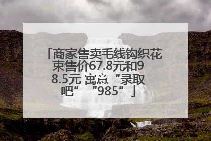 商家售卖毛线钩织花束售价67.8元和98.5元 寓意“录取吧”“985”