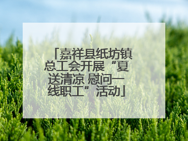 嘉祥县纸坊镇总工会开展“夏送清凉 慰问一线职工”活动