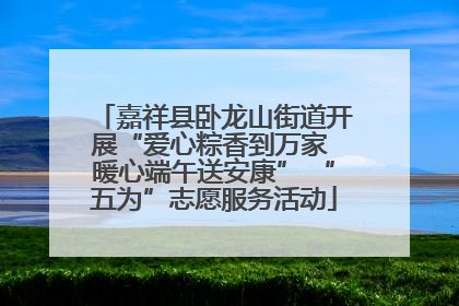 嘉祥县卧龙山街道开展“爱心粽香到万家 暖心端午送安康” “五为”志愿服务活动