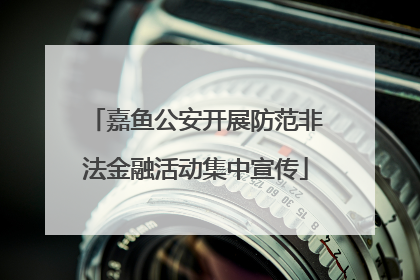 嘉鱼公安开展防范非法金融活动集中宣传