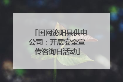 国网泌阳县供电公司：开展安全宣传咨询日活动