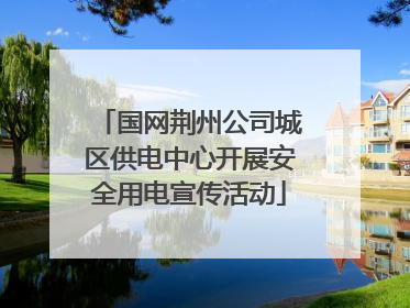 国网荆州公司城区供电中心开展安全用电宣传活动
