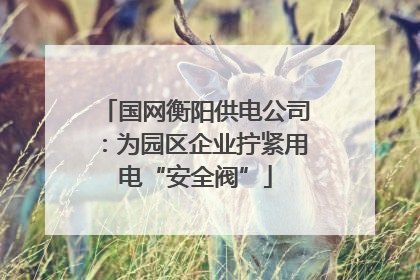国网衡阳供电公司：为园区企业拧紧用电“安全阀”