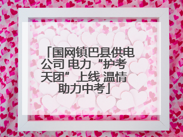 国网镇巴县供电公司 电力“护考天团”上线 温情助力中考