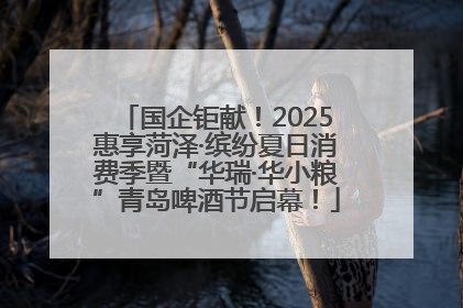 国企钜献！2025惠享菏泽·缤纷夏日消费季暨“华瑞·华小粮”青岛啤酒节启幕！