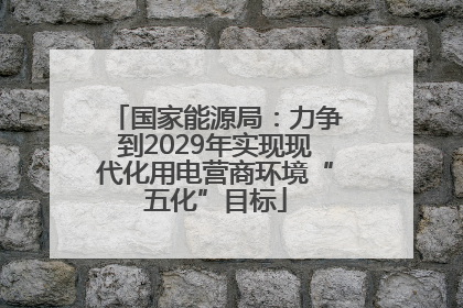 国家能源局：力争到2029年实现现代化用电营商环境“五化”目标
