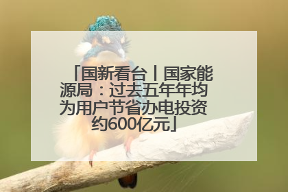 国新看台丨国家能源局：过去五年年均为用户节省办电投资约600亿元