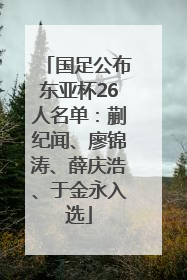 国足公布东亚杯26人名单：蒯纪闻、廖锦涛、薛庆浩、于金永入选