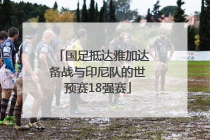 国足抵达雅加达备战与印尼队的世预赛18强赛