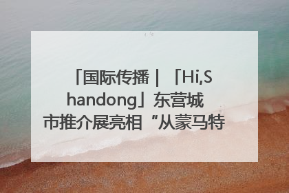 国际传播｜「Hi,Shandong」东营城市推介展亮相“从蒙马特到加里波第”文化节