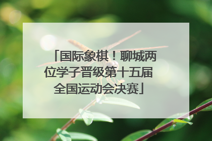国际象棋！聊城两位学子晋级第十五届全国运动会决赛