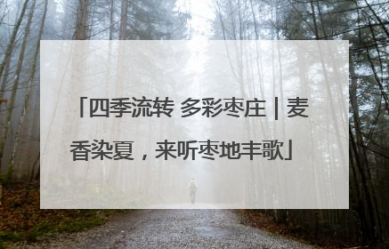 四季流转 多彩枣庄｜麦香染夏，来听枣地丰歌