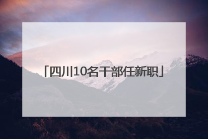 四川10名干部任新职