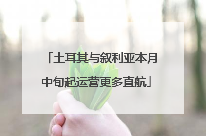 土耳其与叙利亚本月中旬起运营更多直航