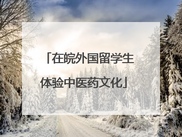 在皖外国留学生体验中医药文化