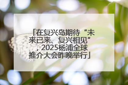 在复兴岛期待“未来已来、复兴相见”，2025杨浦全球推介大会昨晚举行