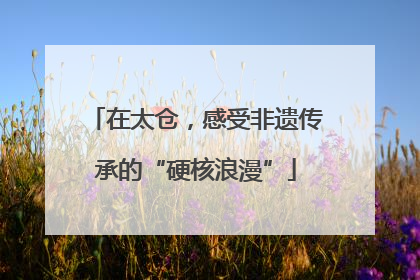 在太仓，感受非遗传承的“硬核浪漫”
