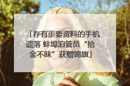 存有重要资料的手机遗落 蚌埠泊管员“拾金不昧”获赠锦旗