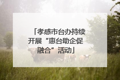 孝感市台办持续开展“惠台助企促融合”活动