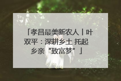 孝昌最美新农人丨叶双平：深耕乡土 托起乡亲“致富梦”