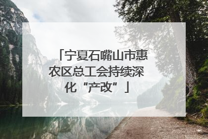 宁夏石嘴山市惠农区总工会持续深化“产改”