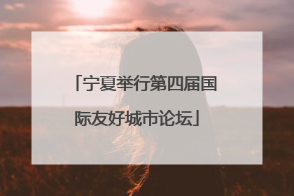 宁夏举行第四届国际友好城市论坛