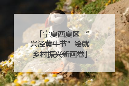 宁夏西夏区 “兴泾黄牛节”绘就乡村振兴新画卷