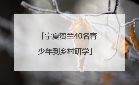 宁夏贺兰40名青少年到乡村研学
