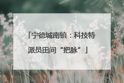 宁德城南镇：科技特派员田间“把脉”