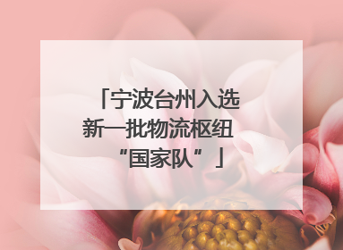 宁波台州入选新一批物流枢纽“国家队”
