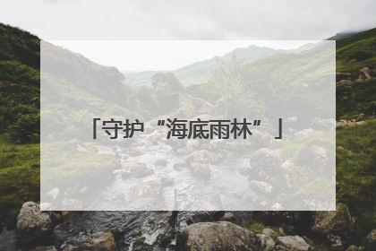 守护“海底雨林”