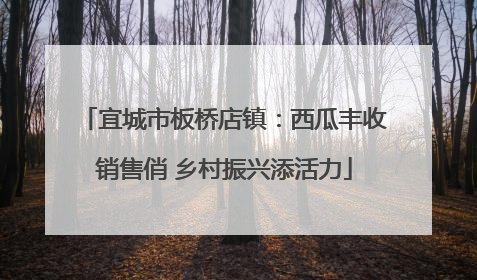 宜城市板桥店镇：西瓜丰收销售俏 乡村振兴添活力