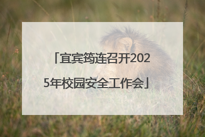 宜宾筠连召开2025年校园安全工作会