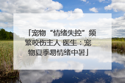 宠物“情绪失控”频繁咬伤主人 医生：宠物夏季易情绪中暑