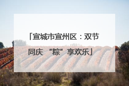 宣城市宣州区：双节同庆 “粽”享欢乐