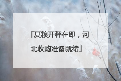 夏粮开秤在即，河北收购准备就绪